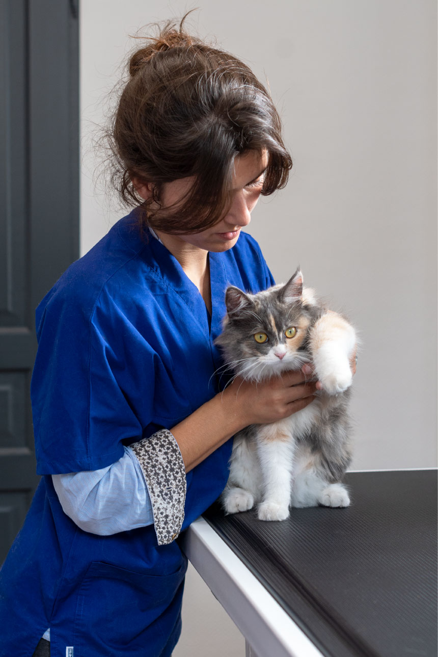 image ostéopathe