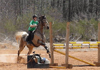 image cheval