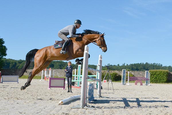 image cheval